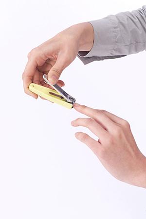額や表具のような書道商品を購入できるショップ